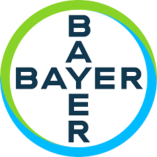 Partner